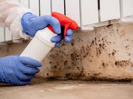 Best Real Estate Mold Inspection  in Rutledge, GA